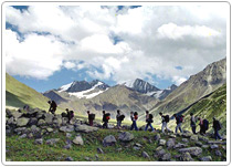 Miyar Vallery Trek - Himachal Tours
