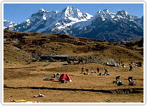 Mountaineering Expedition Mount Ladakhi, Himachal Tours