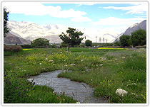 ubra Valley, Ladakh Tours